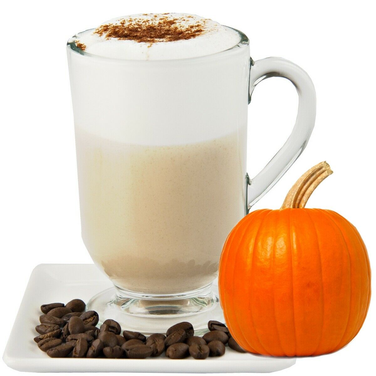 Pumpkin Spice Latte Original Instant Drink Mix 2 Pounds Bulk