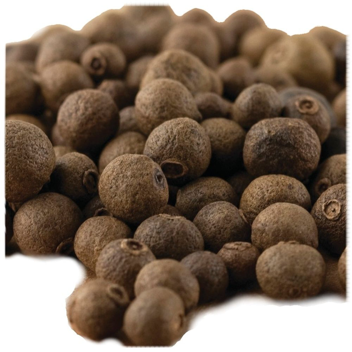 Michele's Pantry Allspice Berries 2 lbs. Net Wt.  (B-2-A) Fasig Enterprises