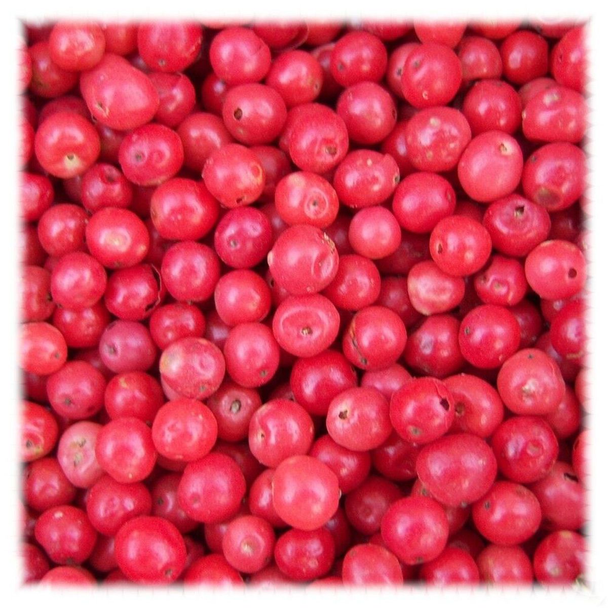 Michele's Pantry Fresh Crop New Pink Peppercorns 8 oz
